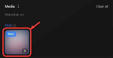 Selected Paid media item in a Solo Bundle, highlighted by a red box and arrow.
